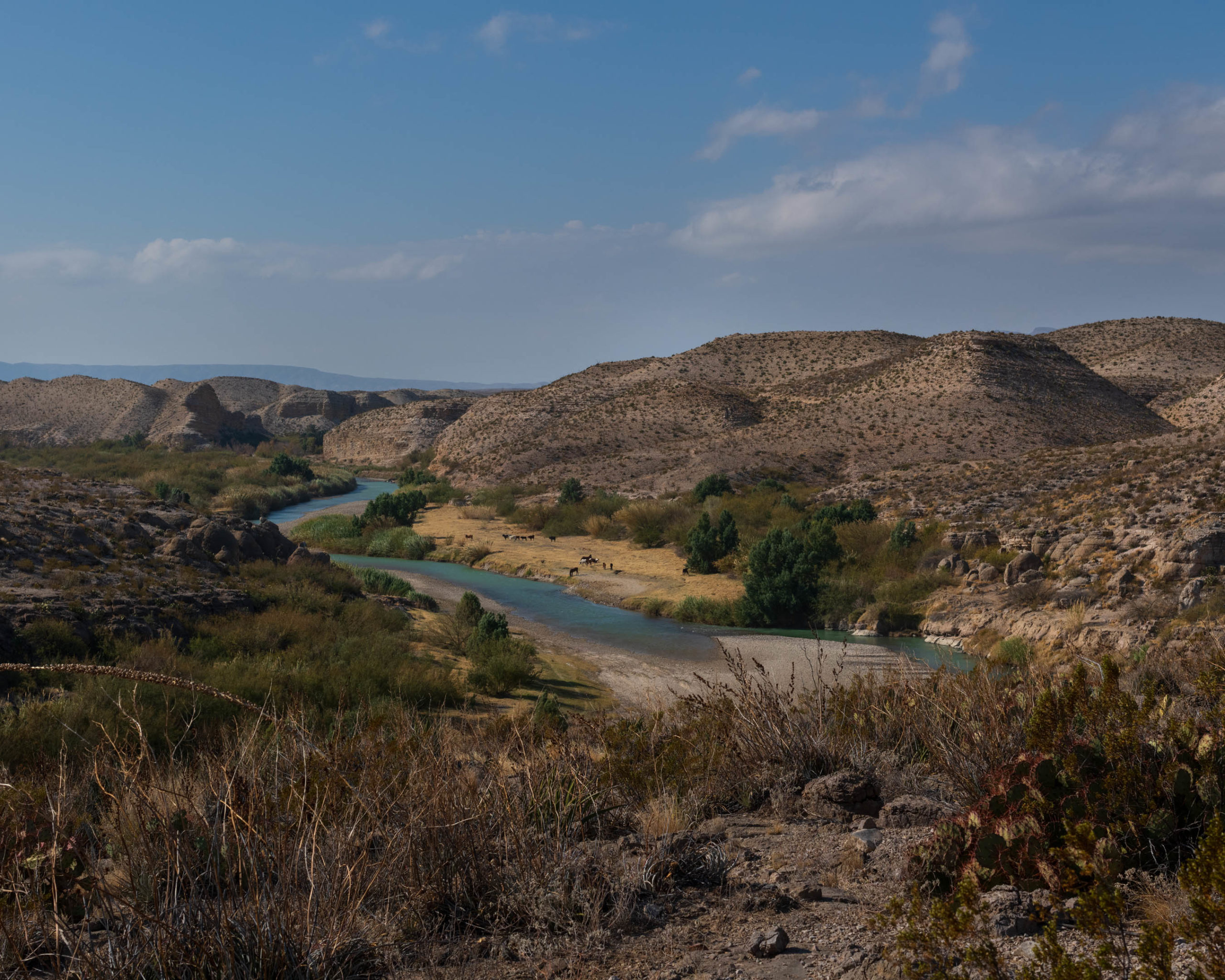 Big Bend 2020